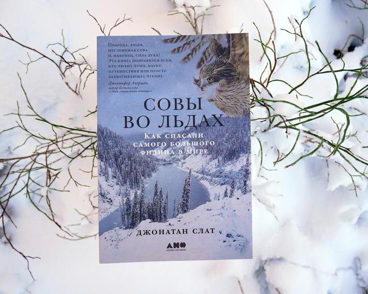 «Совы во льдах» — книга про спасение самого большого филина в мире